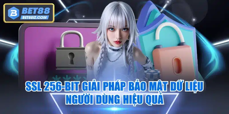 SSL 256-bit